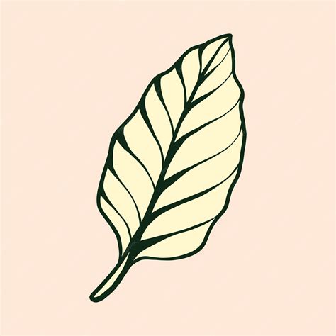 Premium Vector | Autumn leaf vector illustration