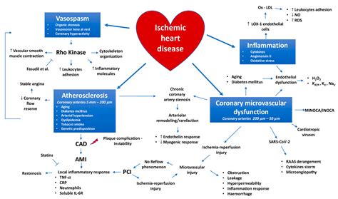 Coronary Heart Disease Symptoms