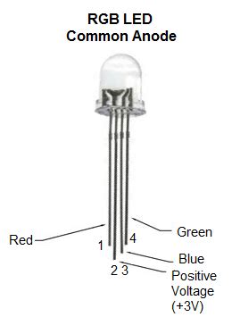 Led anode vs cathode - allstarluli