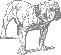 Free vector graphic: Bulldog, Cartoon, Angry, Dog - Free Image on Pixabay - 309162