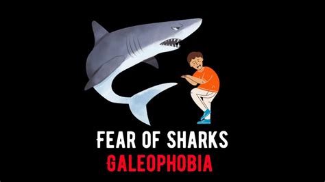 Fear of Sharks (Galeophobia): Triggers, Causes, Symptoms, and Diagnosis ...