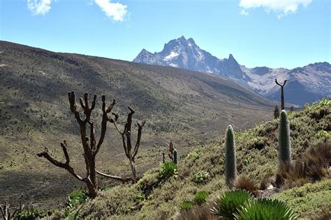 50+ Free Mount Kenya & Mount Kilimanjaro Images - Pixabay