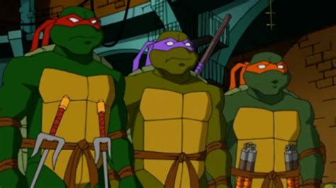 Teenage Mutant Ninja Turtles' 2003 Series Is Still Underrated & Overlooked