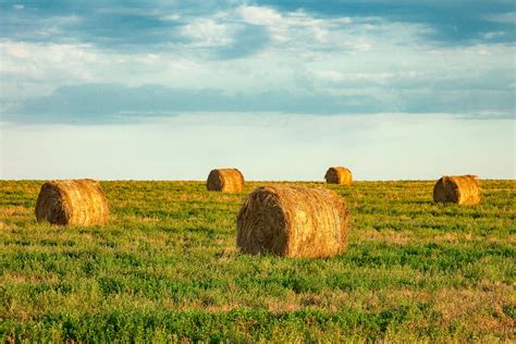 Round Hay Bales - Todd Klassy Photography