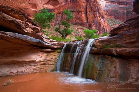 Oasis | A rare desert waterfall in Coyote Gulch in the Escal… | Flickr