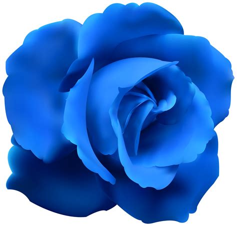 Blue Flower Transparent Png Clip Art Image Blue Flower Png Blue Images 13160 | The Best Porn Website