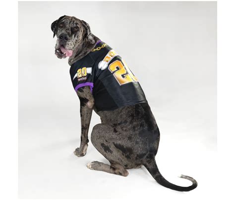 Snoop Dogg Debuts Dog Wear Line: Snoop Doggie Doggs - Absolute Fusion - Tech, Gadgets, Gizmos ...