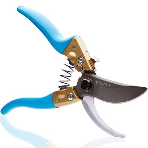 10 Best Pruning Shears