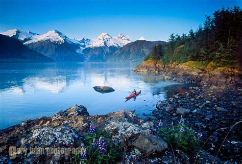 Sea Kayaking Glacier Bay National Park | Glacier bay national park ...