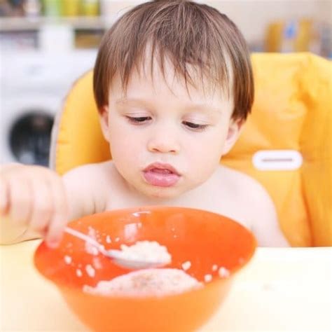 8 Easy Toddler Oatmeal Recipes - Toddler Meal Ideas