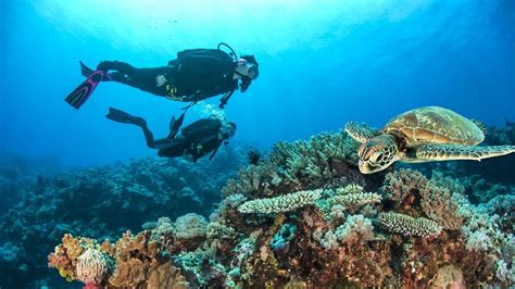 Learn to Dive On The Great Barrier Reef with Pro Dive Cairns