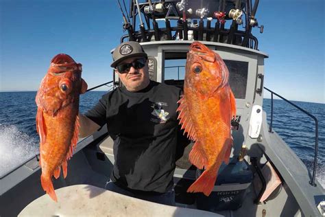 Fishing in REDONDO BEACH: The Complete Guide