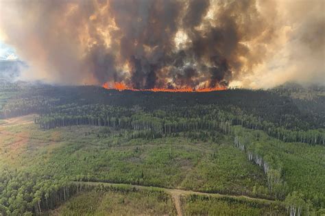 What Caused The Canadian Fires 2024 - Liane Othelia
