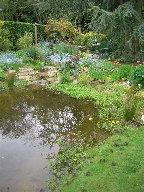 Wildlife Ponds Construction - Norfolk, Suffolk & Cambridgeshire Backyard Stream, Garden Stream ...