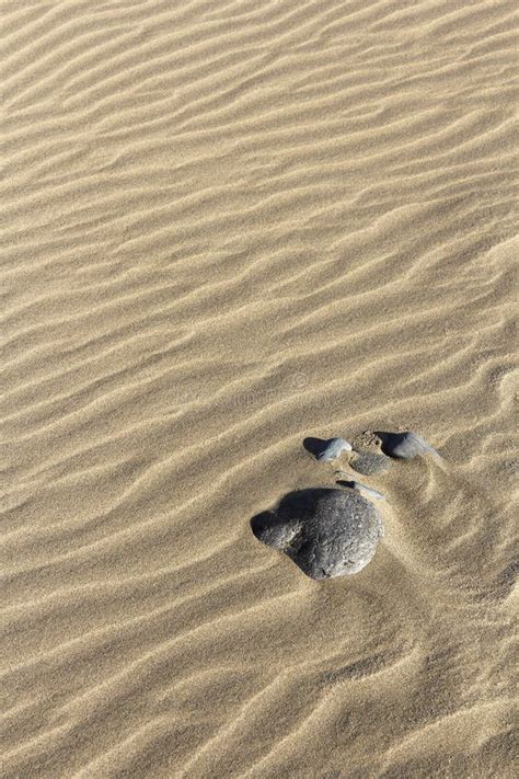 Wave Patterns On A Sand Dune Stock Image - Image of outside, desert: 17298021