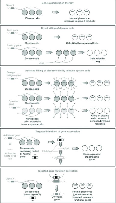 Schematic representation of the classical and nonclassical gene therapy ...