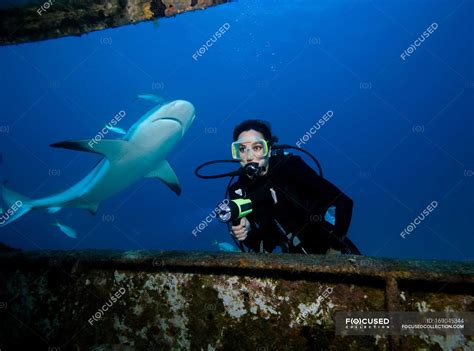 Scuba diver with shark. — grace, outdoors - Stock Photo | #169045344