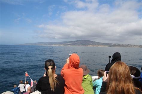 Whale Watching- Redondo Beach, Outdoor Recreation & ITT - Los Angeles AFB, Rancho Palos Verdes ...