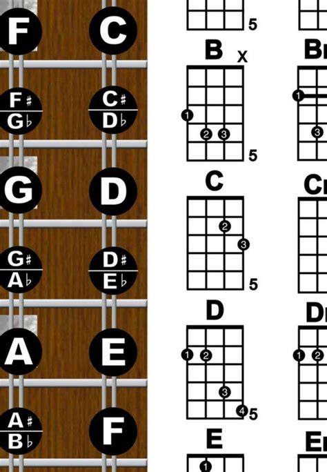 Mandola Chord Fretboard Instructional Wall | Grelly België