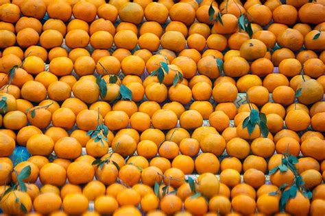 Traditional Roadside Stall Selling Kinnu Citrus Fruit In India Photo Background And Picture For ...