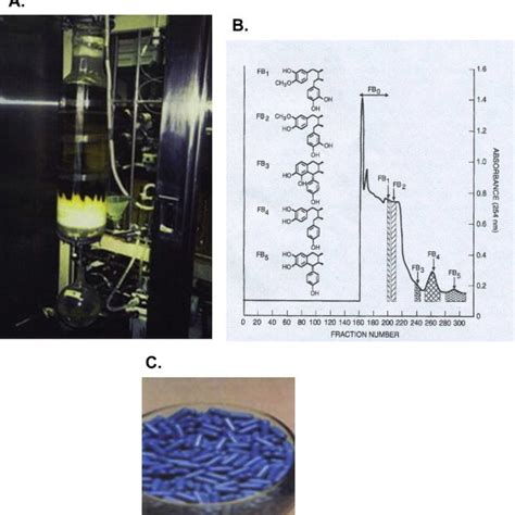 Major classes of lignans with prototype molecules. The dibenzylbutanes ...