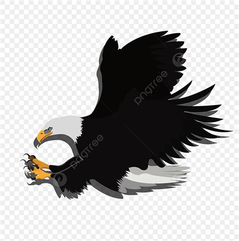 Bald Eagle Clipart Transparent Background, A Bald Eagle, Eagle Clipart, Cunning, The Bald Eagle ...