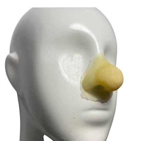 Shrek Nose and Ears Prosthetics Liquid Latex Character - Etsy