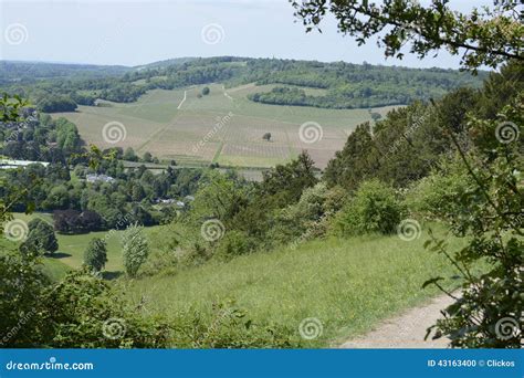 Surrey Countryside Near Dorking. England Stock Photo - Image of north, england: 43163400