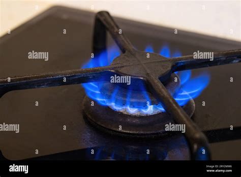 Gas cooker with burning flames of propane gas.Gas crisis and high price ...
