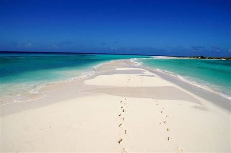 Cayo de Agua in Los Roques