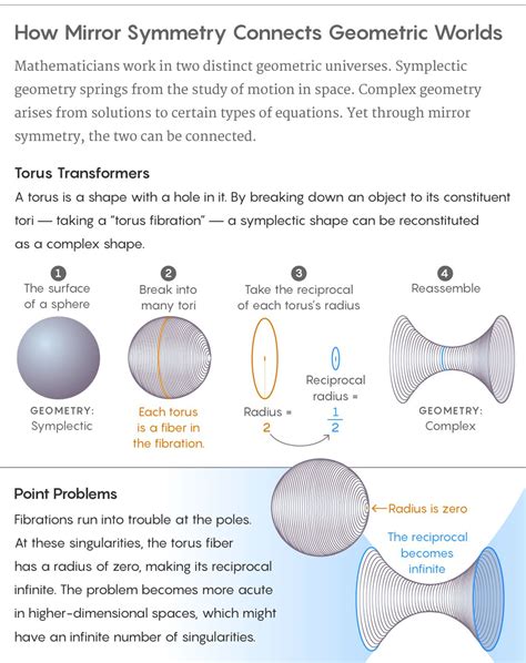 Graphic illustration depicting how mirror symmetry connects geometric worlds. | Mathematician ...