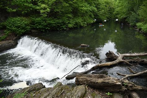 Canoeing Along the Restored Bronx River - Curbed NY