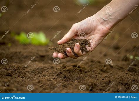 Fertile Soil Suitable For Planting With Mineral Fertilizers, Soil Texture Background Stock ...