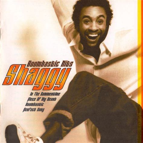 Shaggy - Boombastic Hits | Releases | Discogs