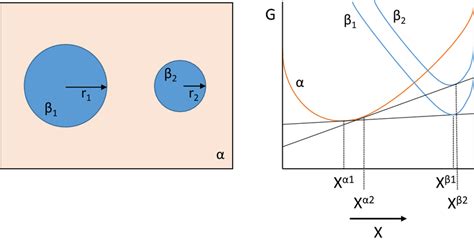 Principles of coarsening in the melt. Left panel shows two grains of ...