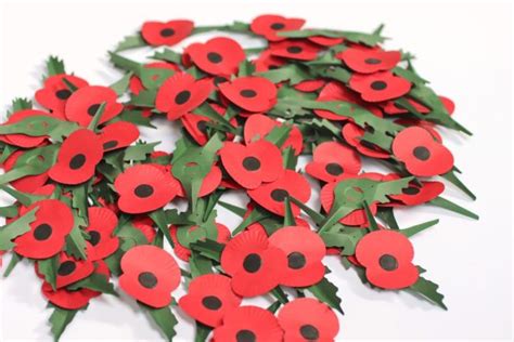 Royal British Legion’s Poppy Appeal 2023 launches in Worcestershire ...