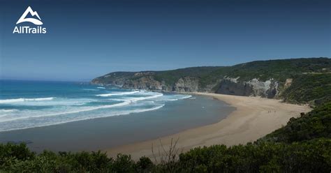 Best Trails in Great Otway National Park - Victoria, Australia | AllTrails