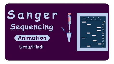 Sanger Sequencing | DNA sequencing | Dideoxy method of DNA sequencing | Animation - YouTube