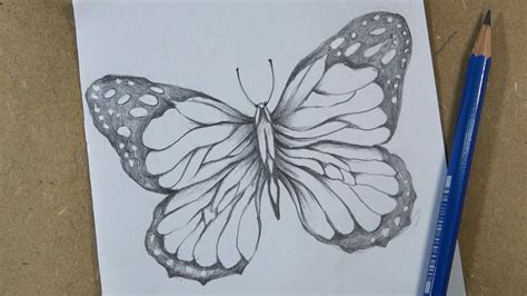 64 Nice Butterfly pencil sketch drawing with Pencil | Sketch Art Design ...