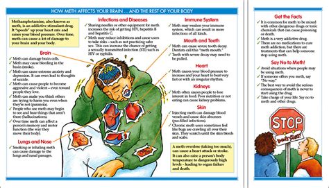 How Meth Affects Your Brain ...and the Rest of Your Body-journeyworks.com