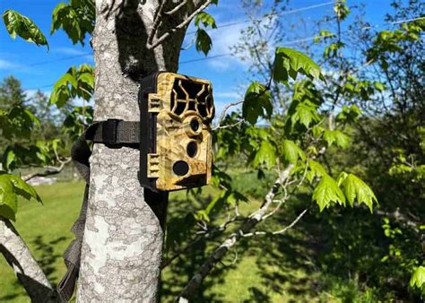 How to Use a Trail Camera For Security: 11 Things to Know | GudGear