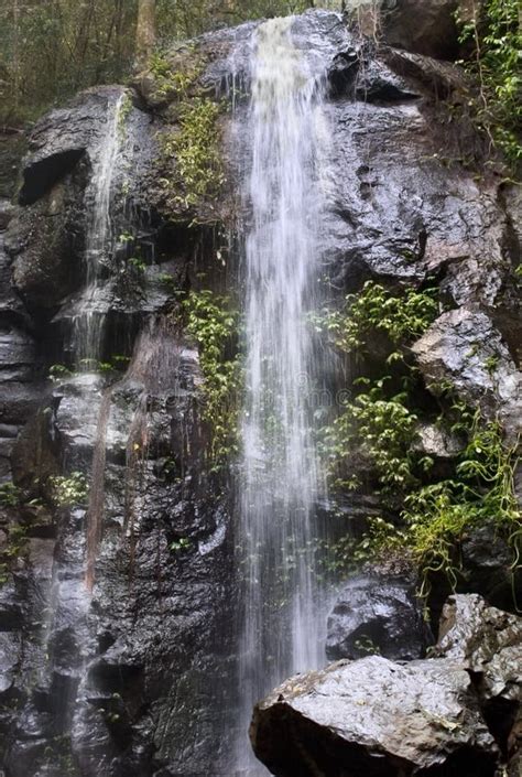 Waterfalls Bunya Mountains Queensland Stock Image - Image of waterfall, queensland: 25129103