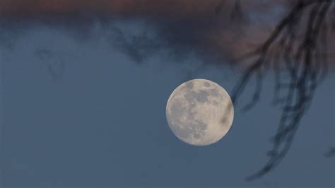 1st full moon of 2023 was a wonderful Wolf Moon worldwide (photos) | Space