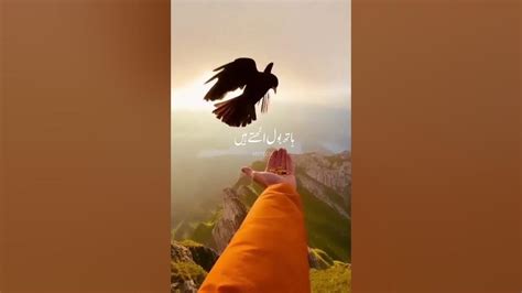 Zindagi Se Darte Ho - Nazm by Noon Meem Rashid - Recitation by Shahrukh Mehdi - Poetry - YouTube