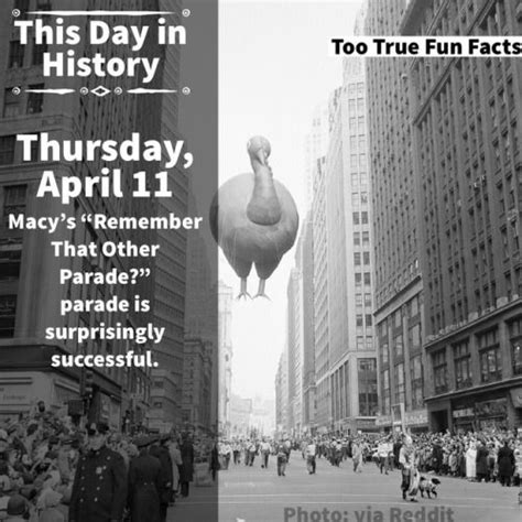 Too True Fun Facts | Fun facts, Today in history, Fun