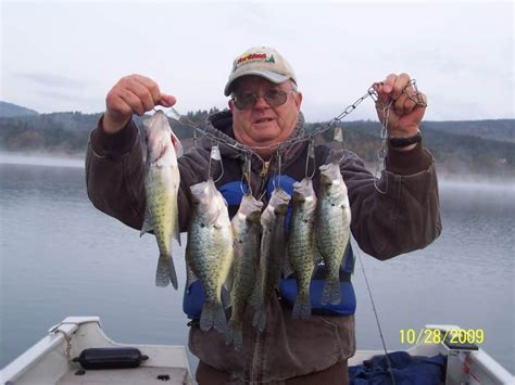 Crappie Fishing: Simple How-To Techniques and Tips - Best Fishing in ...