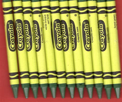 New Crayola Crayons 12 Count FOREST GREEN FREE Shipping | Etsy