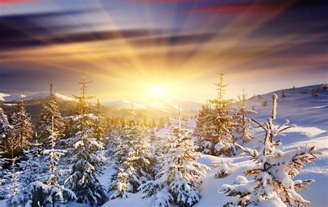 Winter Dawn Wallpapers - Wallpaper Cave