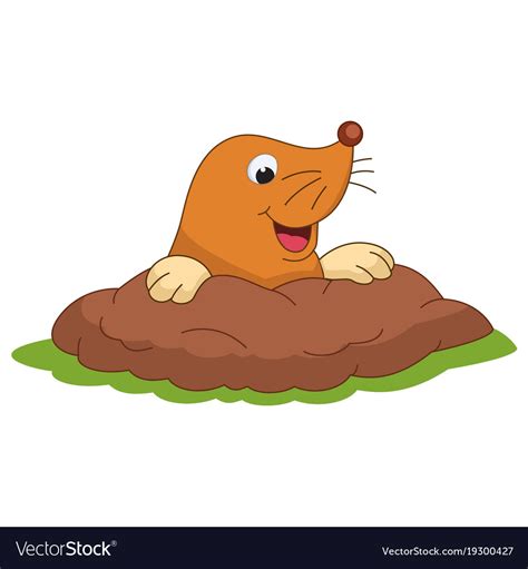 Cartoon mole Royalty Free Vector Image - VectorStock