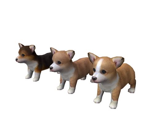 Pembroke Welsh Corgi | Nintendogs Wiki | Fandom